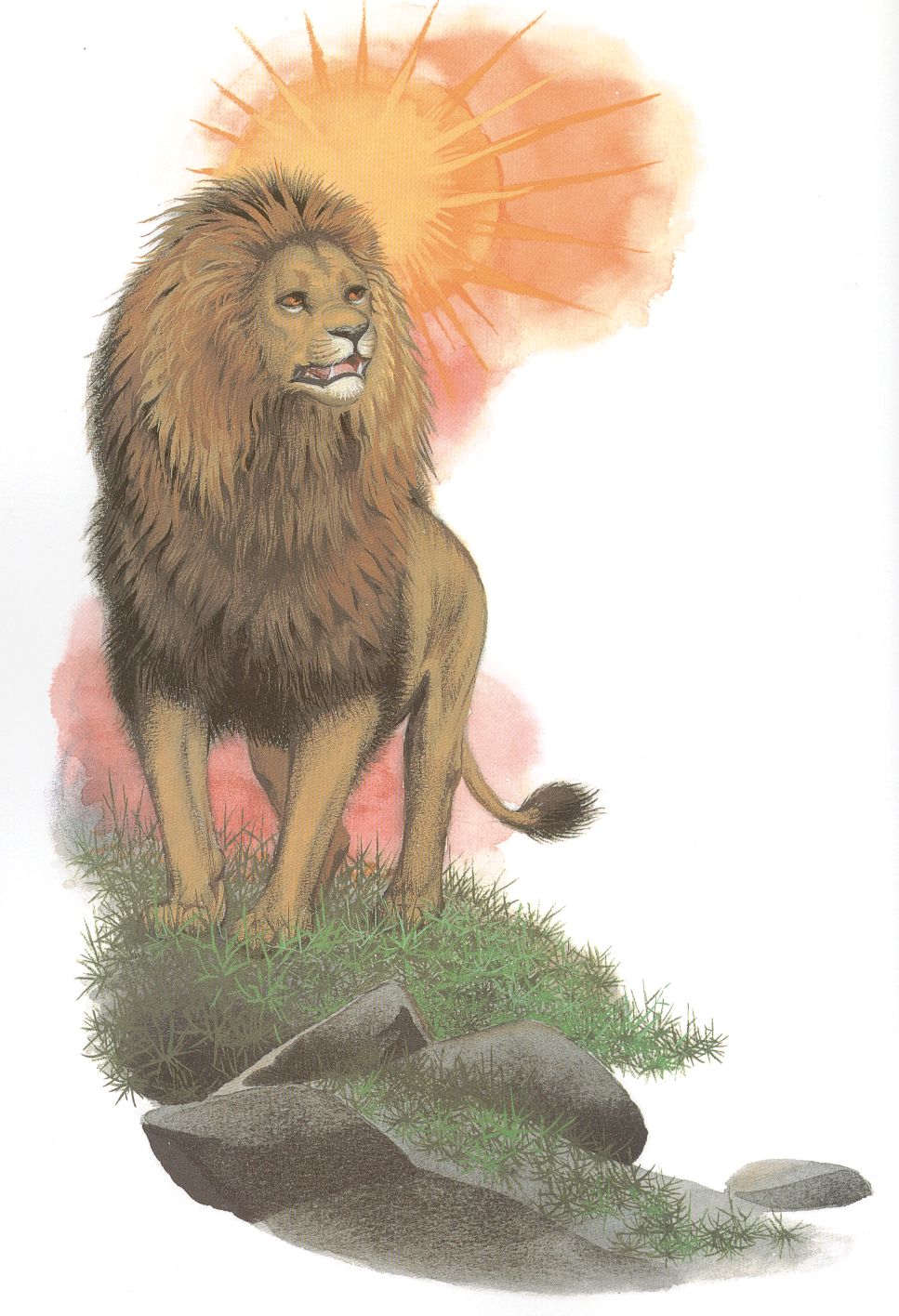 Aslan