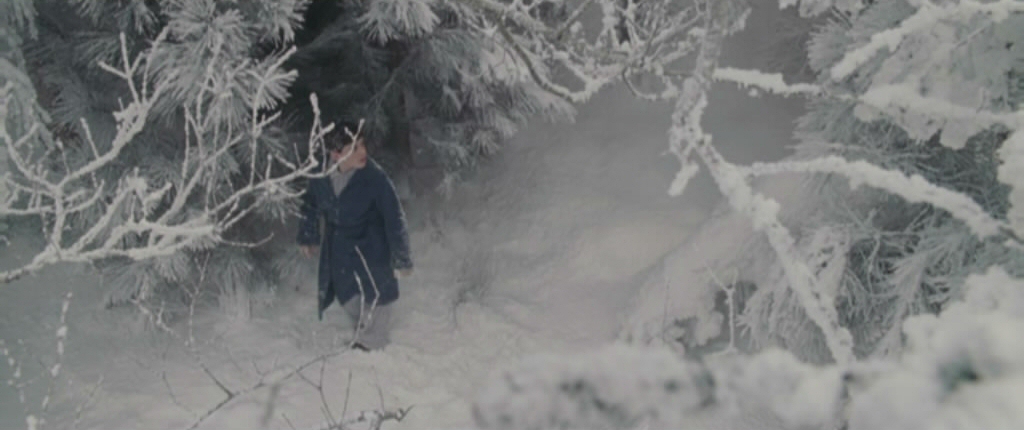 Edmund solitario en Narnia