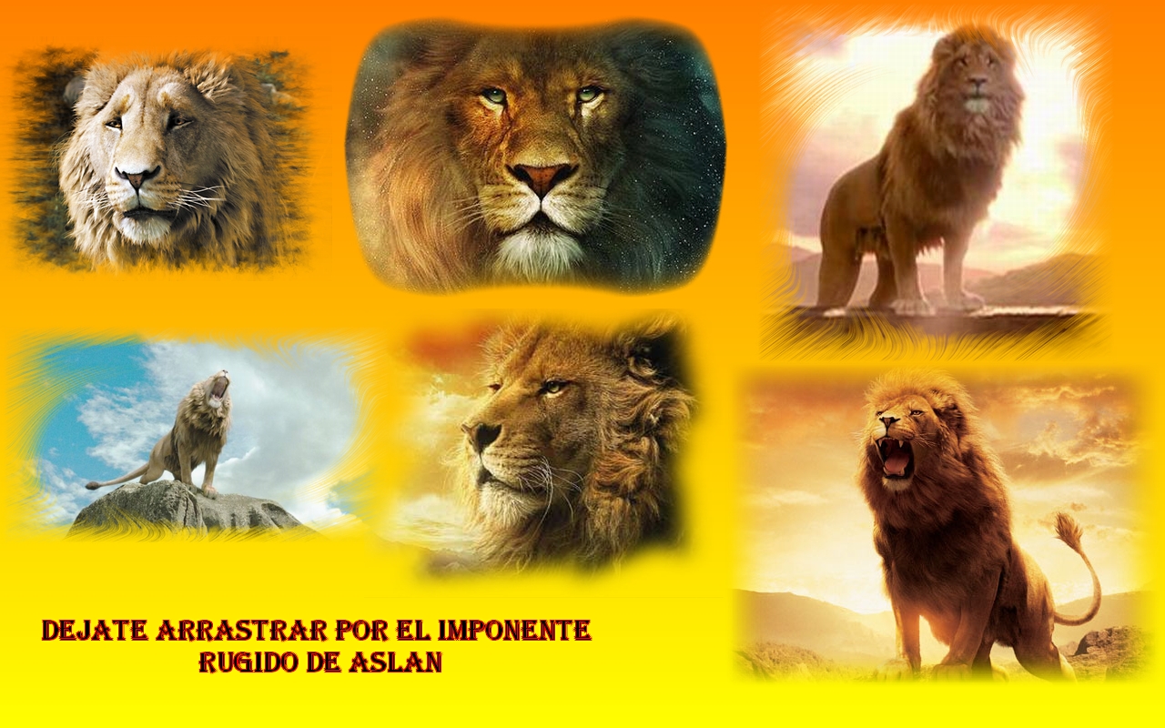 aslan