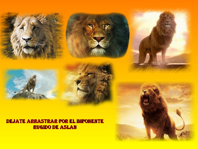 aslan