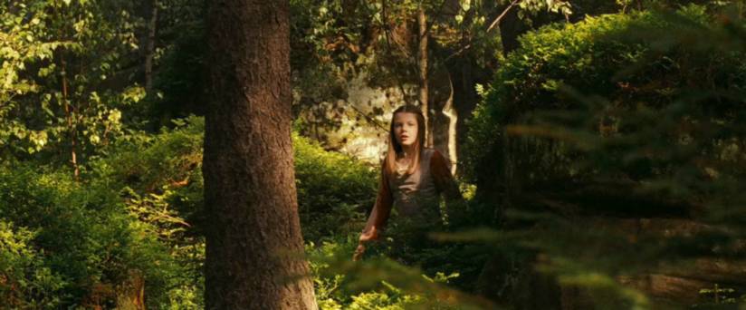 Buscando a Aslan