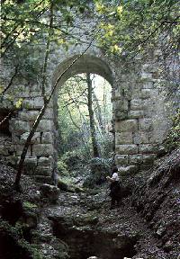 Ponte Cardona