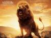 Aslan