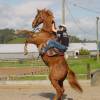 Skandar Keynes montando a caballo